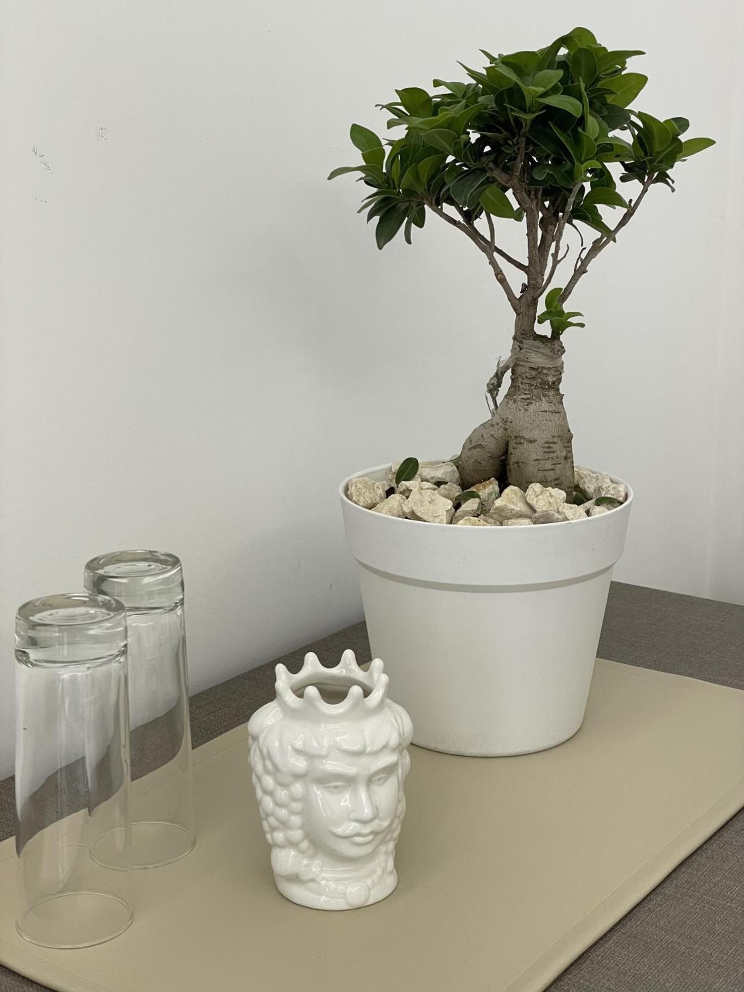 Paradise Sicily Rooms Calatabiano Buitenkant foto